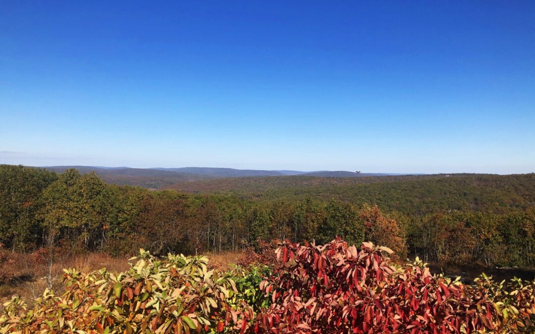 Autumn landscape with colorful foliage and hills.